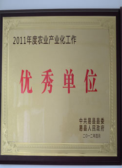 榮譽證書